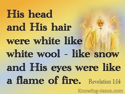 Revelation 1:14 His Head And Hair Were White Like Wool (yellow)